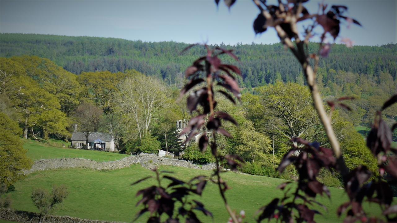 Shepherds Bridge B&B Coniston Exteriör bild