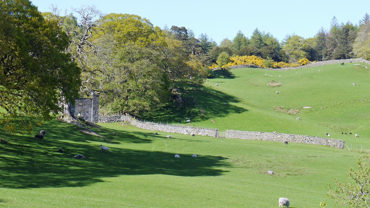 Shepherds Bridge B&B Coniston Exteriör bild