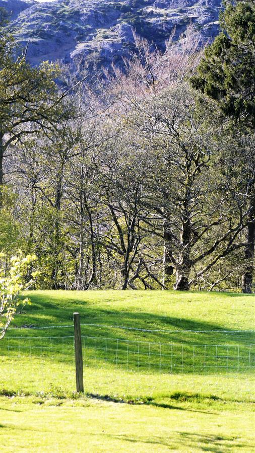 Shepherds Bridge B&B Coniston Exteriör bild